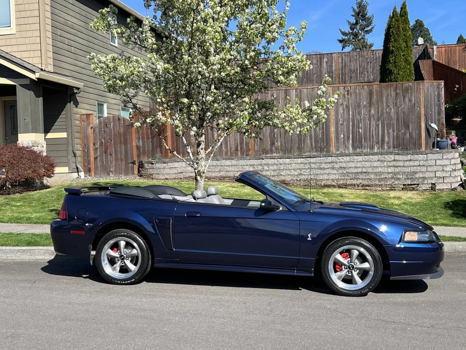 2001 Ford SN95 Mustang - Image 3 of 19
