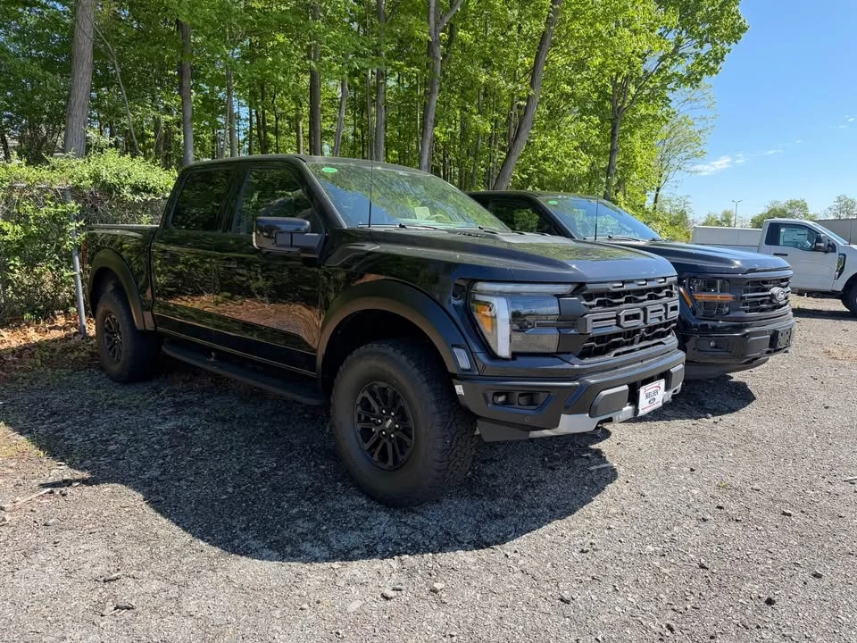 Ford F-Series - Image 7 of 10