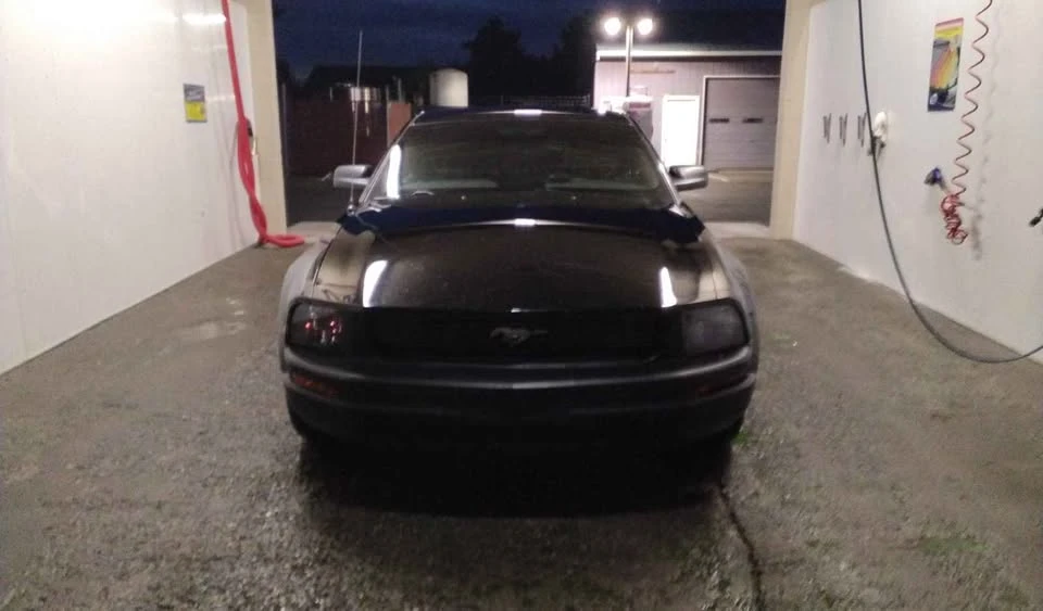 2009 Ford S197 Mustang - Image 7 of 8