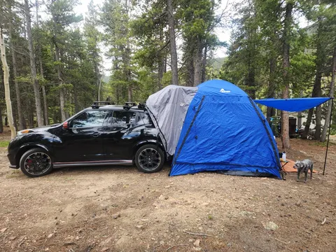 2015 Nissan Juke Nismo