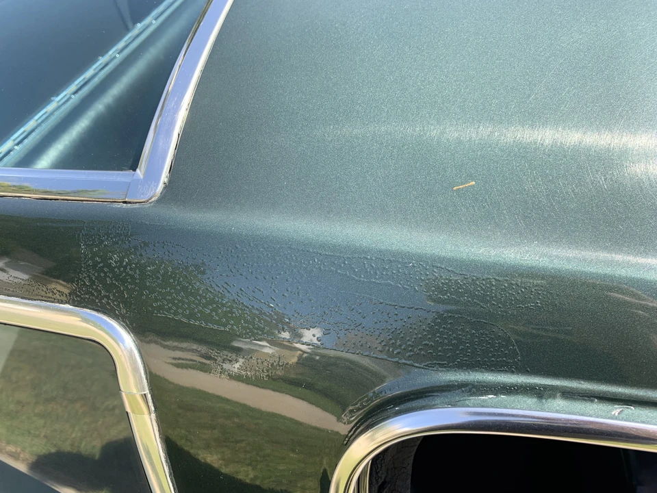 1966 Shelby GT350 - Image 27 of 31