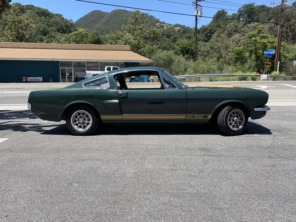 1966 Shelby GT350 - Image 14 of 31