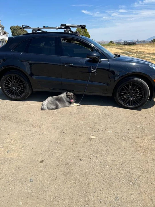 2017 Porsche Macan - Image 2 of 6