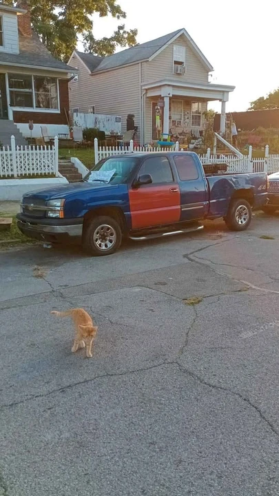 Chevrolet Pickup - Image 4 of 7