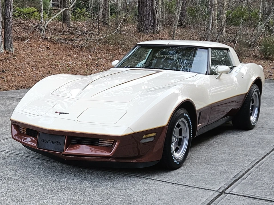 1981 Chevrolet Corvette C3 - Image 19 of 31