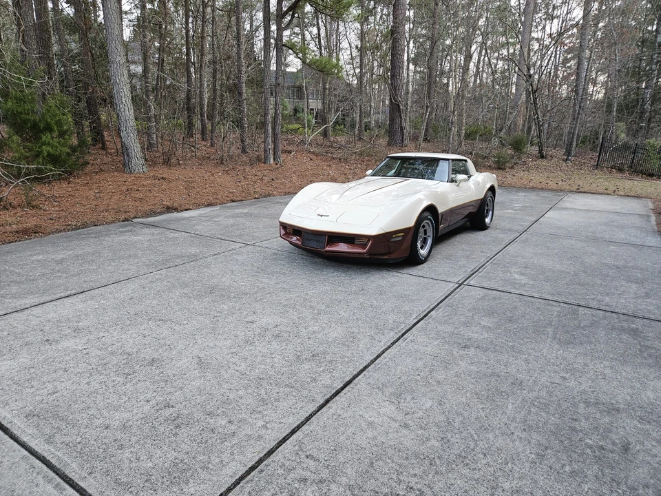 1981 Chevrolet Corvette C3 - Image 18 of 31
