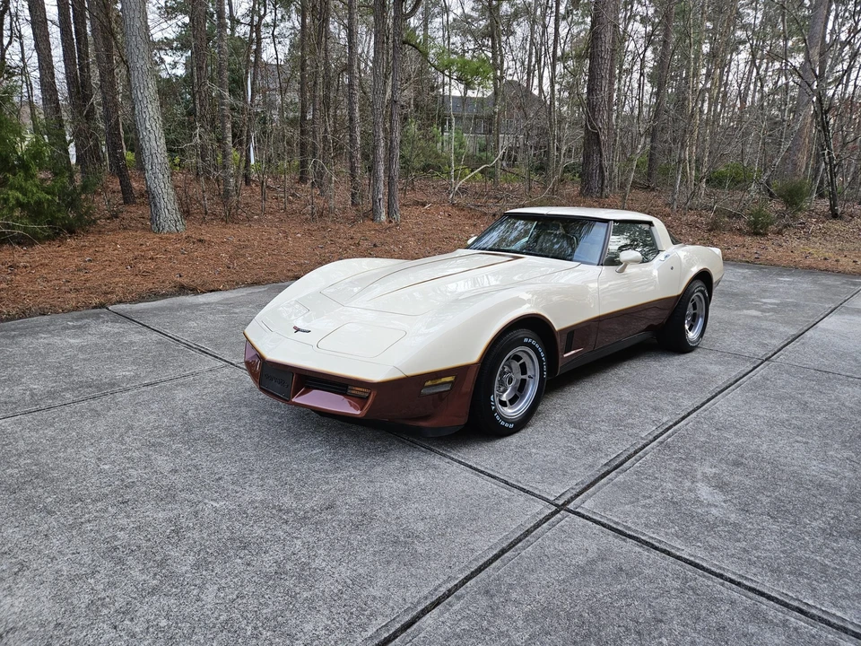 1981 Chevrolet Corvette C3 - Image 10 of 31