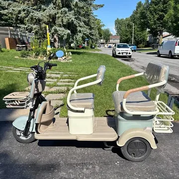 IRG C40 Electric Mini Cart