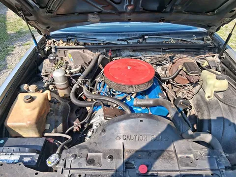 1981 Buick Regal