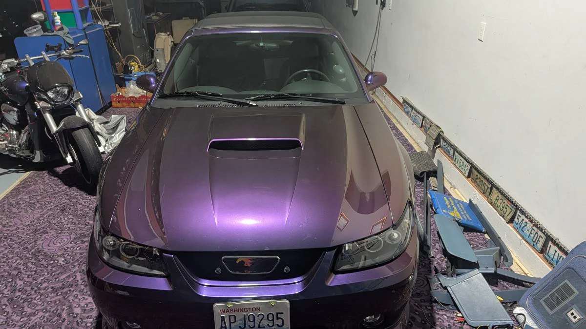 2002 Ford SN95 Mustang - Image 3 of 23