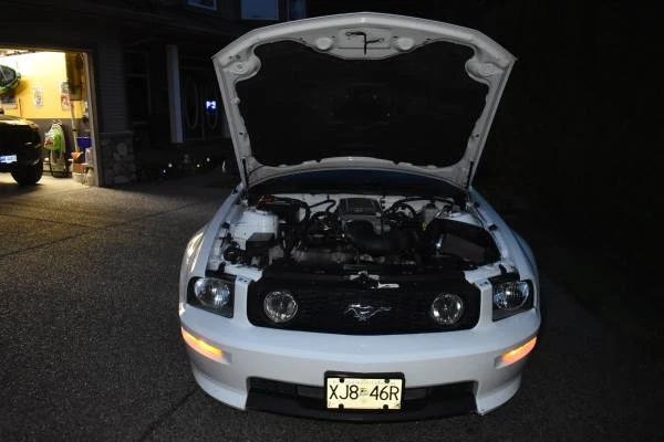 2007 Ford S197 Mustang - Image 13 of 13
