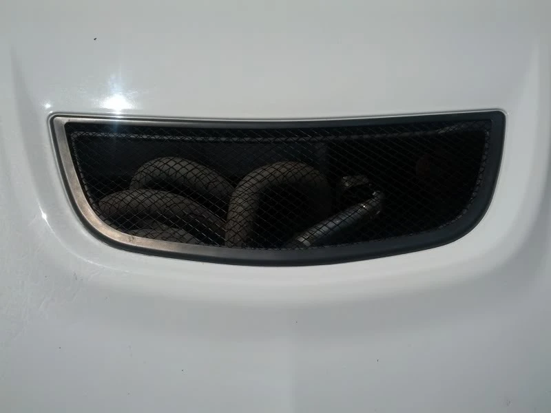 2005 Mitsubishi Lancer Evolution VIII 7th Gen - Image 16 of 31