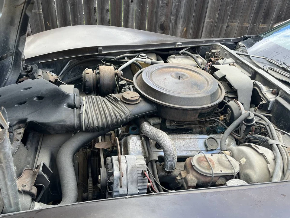 1978 Chevrolet Corvette C3 - Image 9 of 12