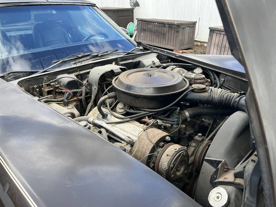 1978 Chevrolet Corvette C3 - Image 10 of 12