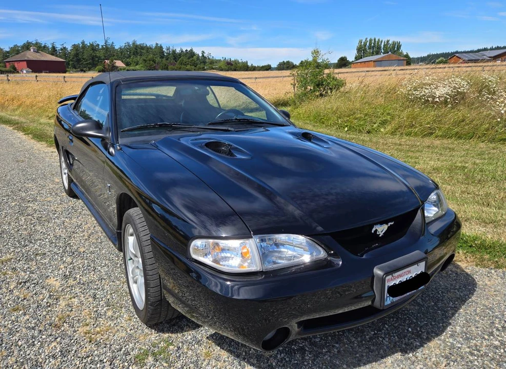 1998 Ford SN95 Mustang Cobra - Image 8 of 11