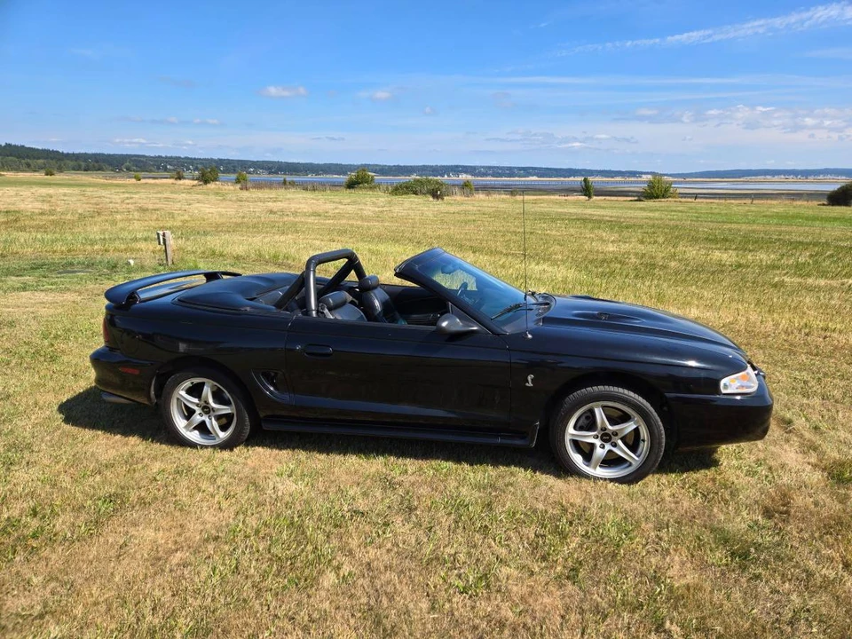 1998 Ford SN95 Mustang Cobra - Image 6 of 11