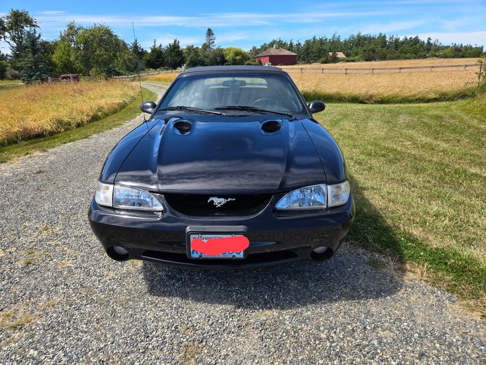 1998 Ford SN95 Mustang Cobra - Image 3 of 11