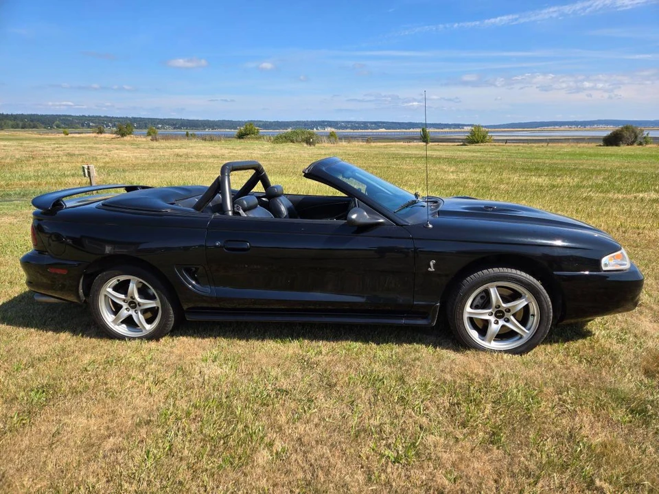 1998 Ford SN95 Mustang Cobra - Image 4 of 11