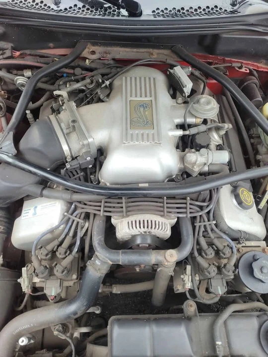 1997 Ford SN95 Mustang Cobra - Image 5 of 5