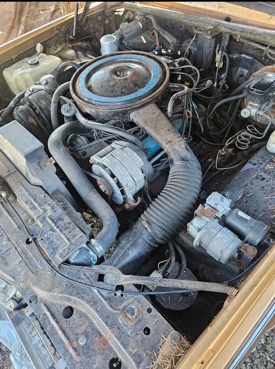 1979 Cadillac Eldorado 10th Gen - Image 5 of 6