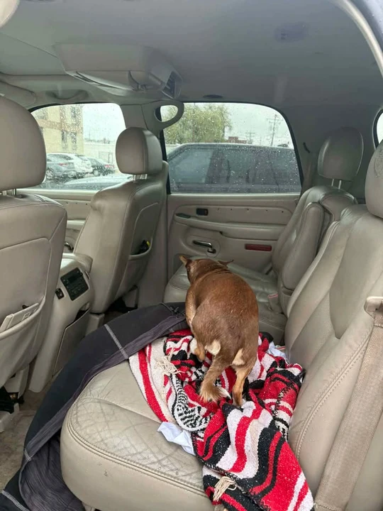 2005 Cadillac Escalade & EXT 2nd Gen - Image 3 of 5