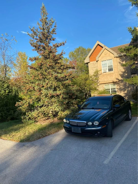 Jaguar X-Type - Image 2 of 2