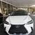 2021 Lexus NX - Image 10 of 10