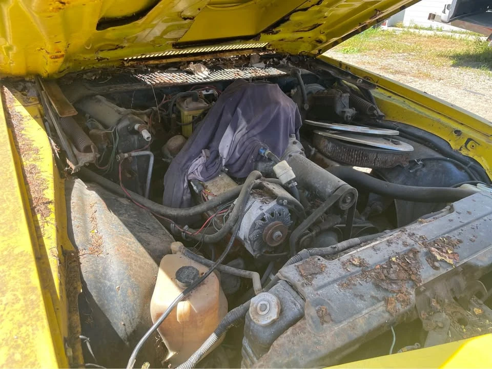 1978 Chevrolet Camaro 2nd Gen - Image 3 of 4