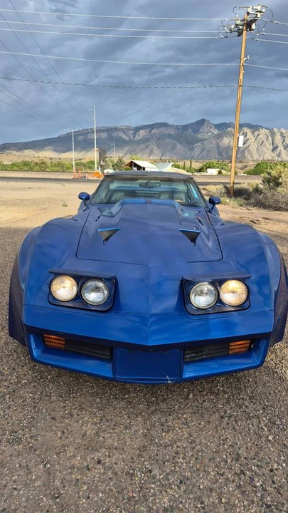1979 Chevrolet Corvette C3 - Image 2 of 9