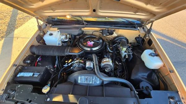 1989 Chevrolet C/K 4th Gen - Image 14 of 15