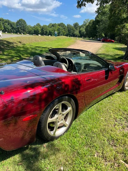 2003 Chevrolet Corvette C5 - Image 8 of 13