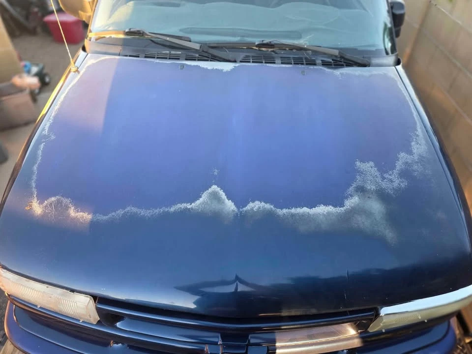 Chevrolet S-10 - Image 4 of 10