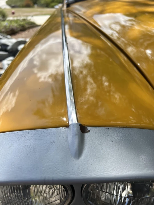 1969 Checker - Image 22 of 31