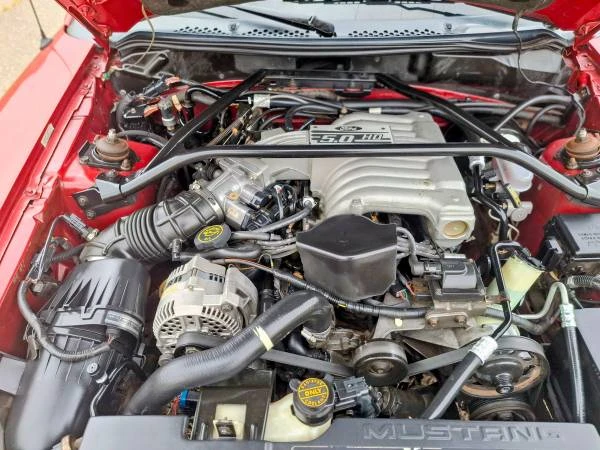1995 Ford SN95 Mustang - Image 14 of 14