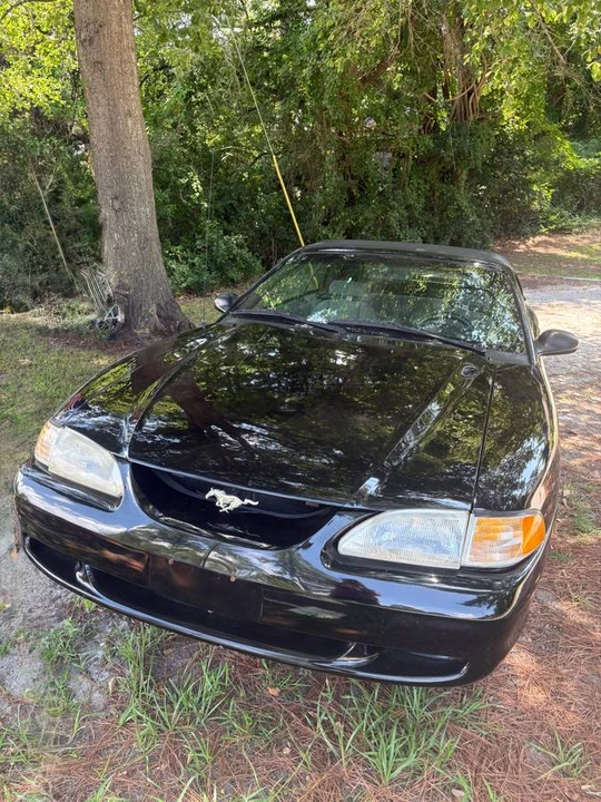 1998 Ford SN95 Mustang - Image 5 of 18