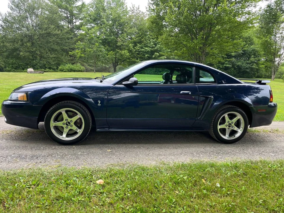 2001 Ford SN95 Mustang Cobra - Image 4 of 16