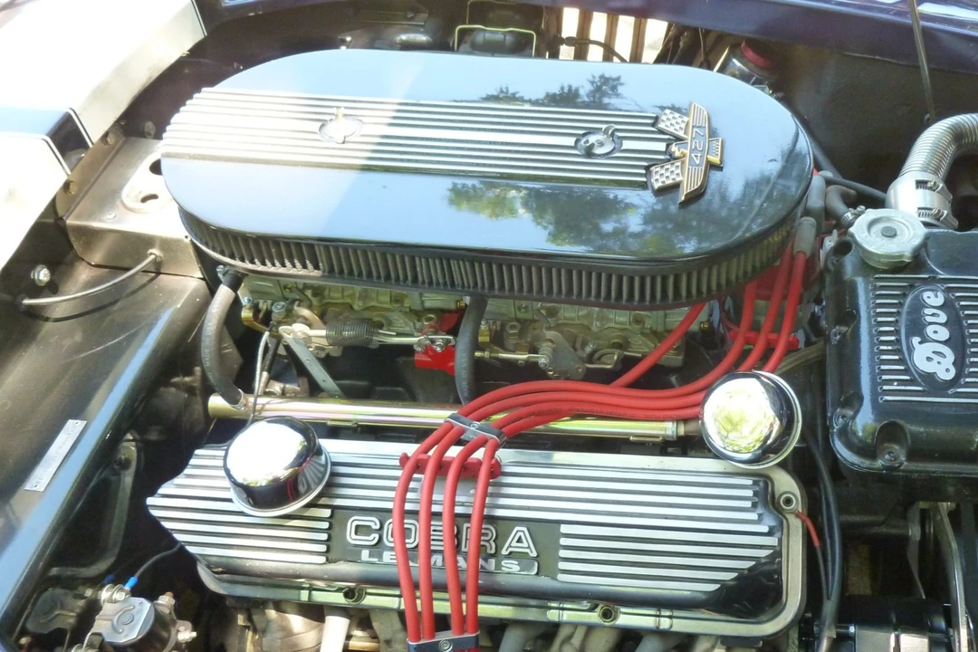 Shelby Cobra Replica - Image 23 of 31