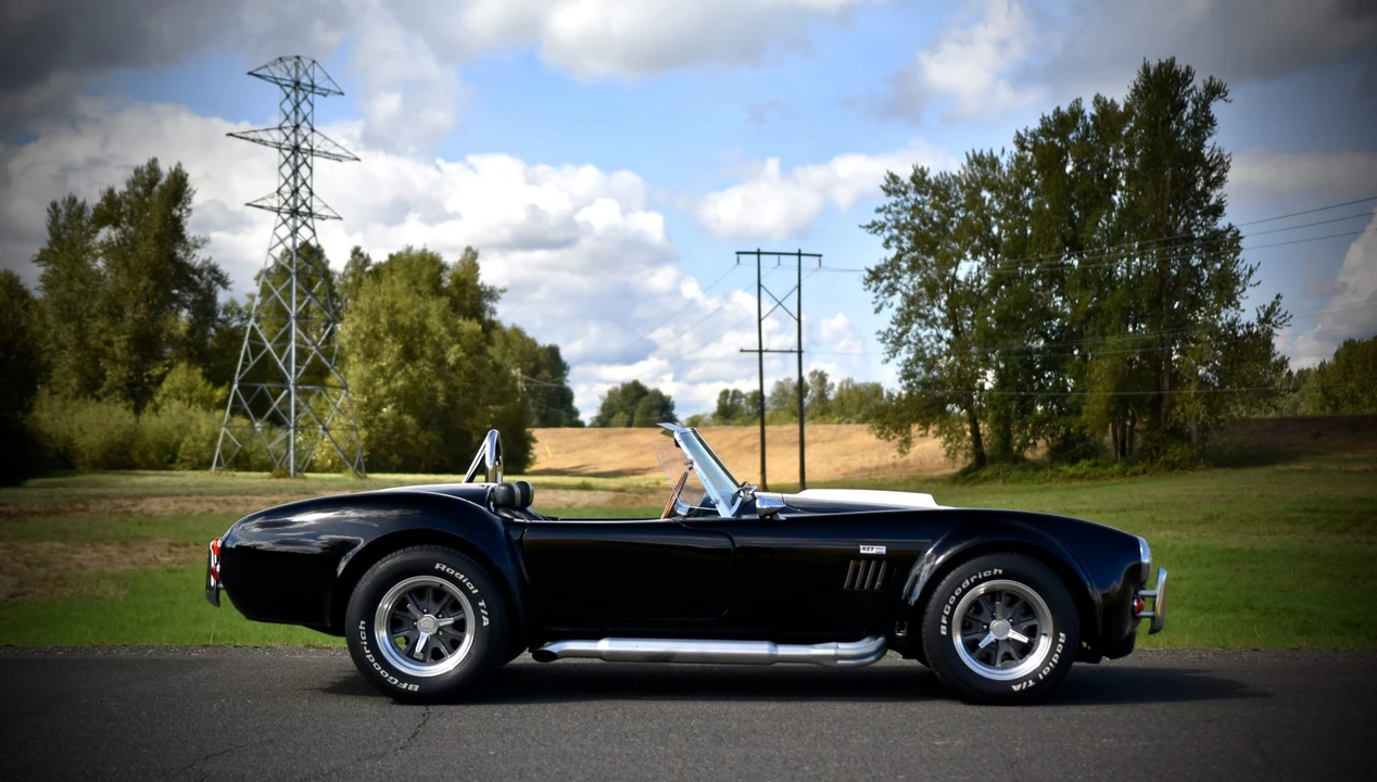Shelby Cobra Replica - Image 20 of 31