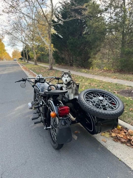 1995 Ural Gear Up - Image 6 of 6