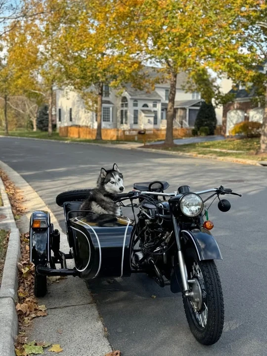 1995 Ural Gear Up - Image 2 of 6