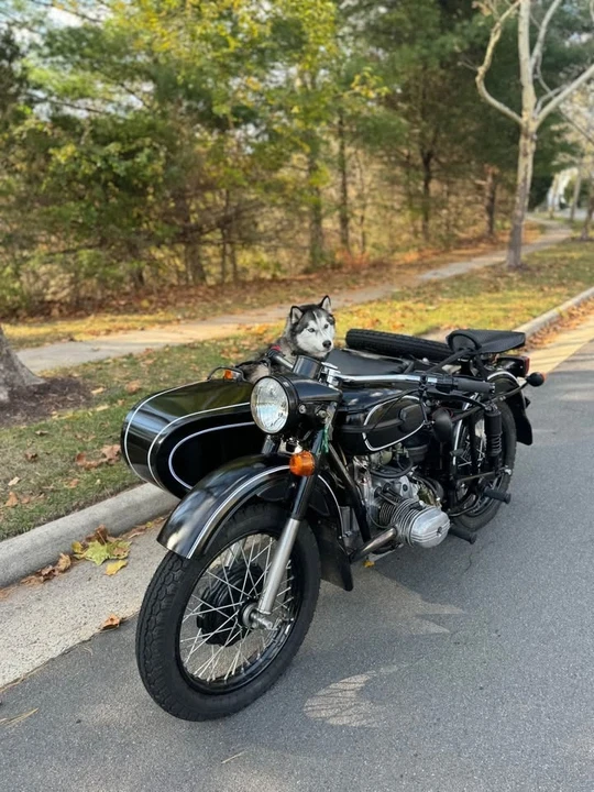 1995 Ural Gear Up - Image 5 of 6