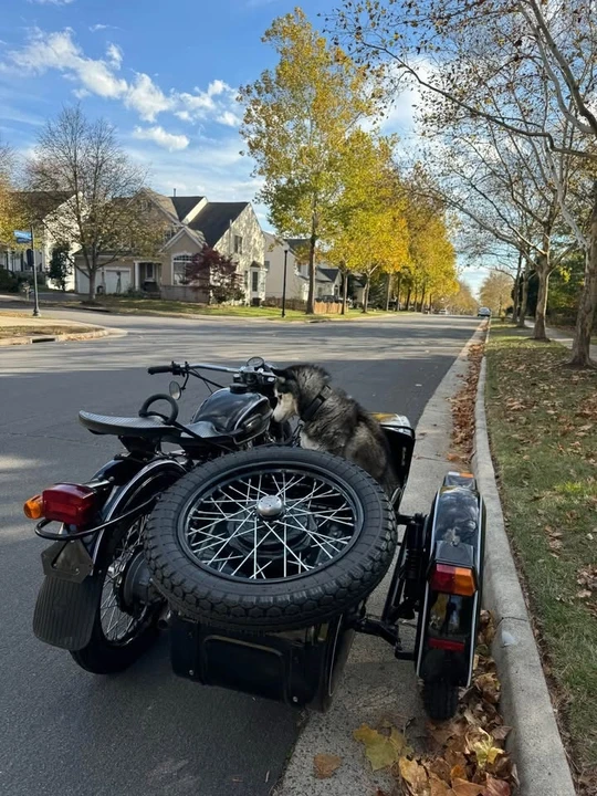 1995 Ural Gear Up - Image 3 of 6