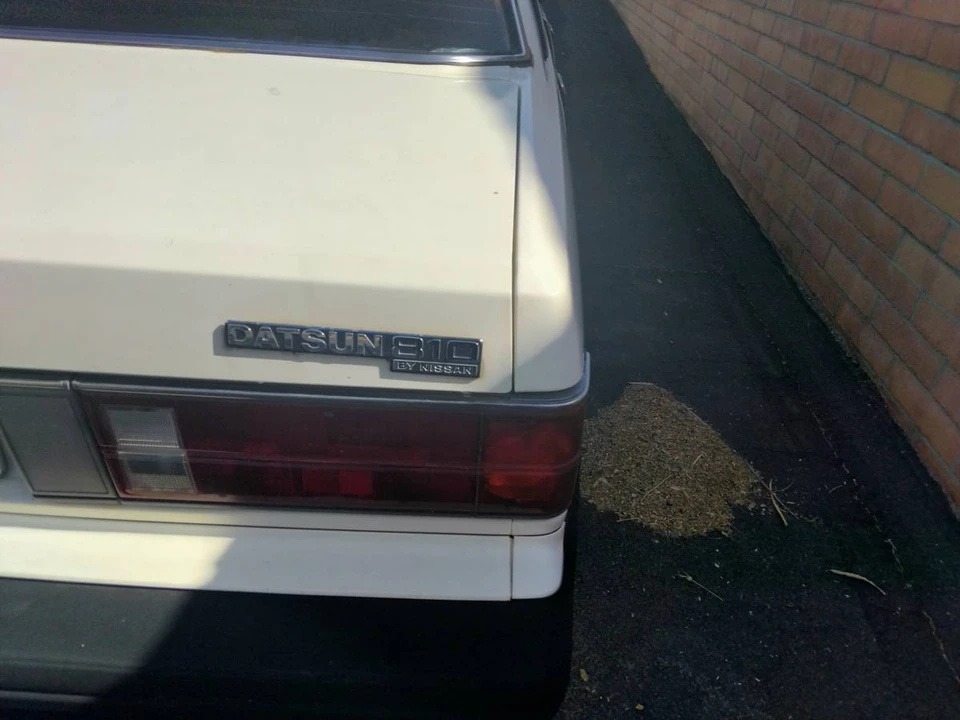 1979 Nissan Maxima - Image 10 of 11