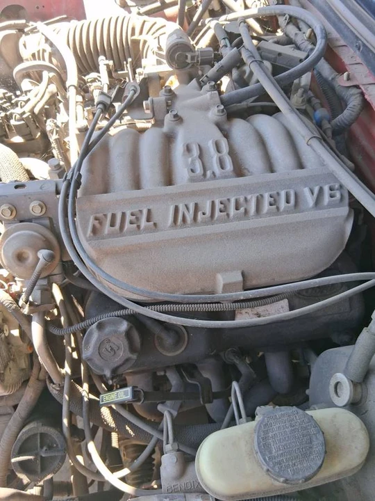 1998 Ford SN95 Mustang - Image 11 of 13