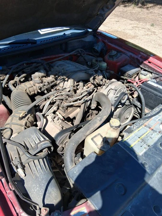 1998 Ford SN95 Mustang - Image 12 of 13