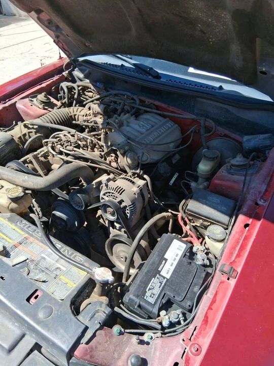 1998 Ford SN95 Mustang - Image 13 of 13