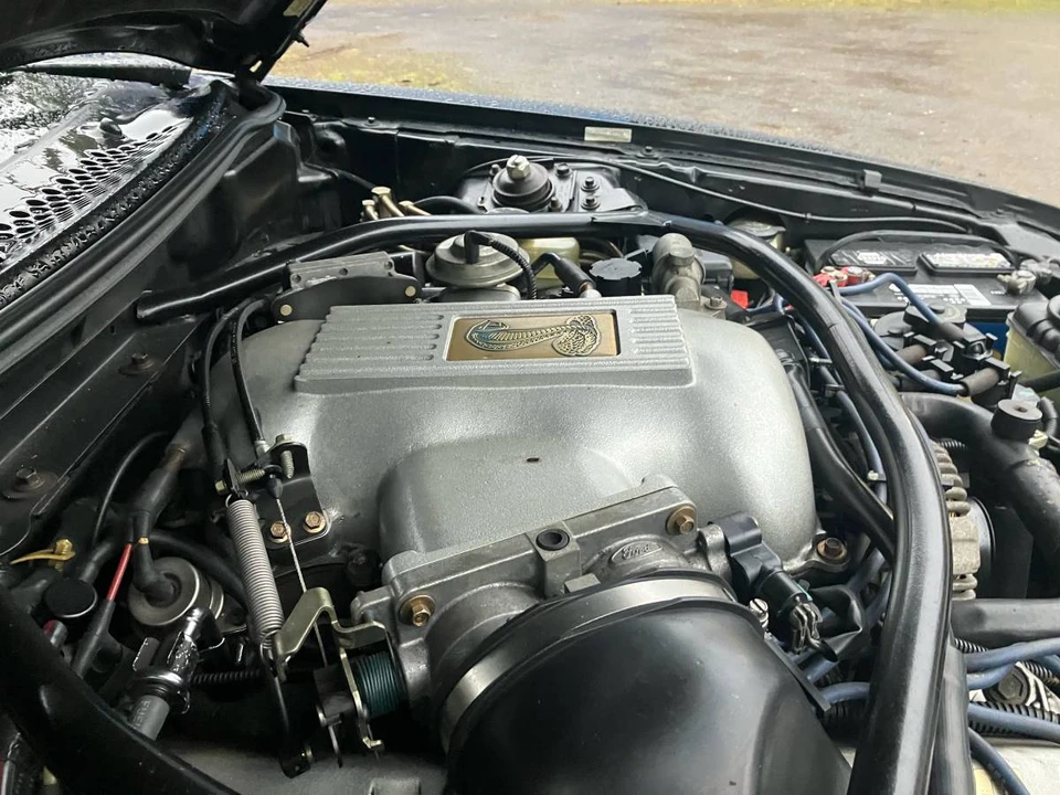1998 Ford SN95 Mustang Cobra - Image 6 of 8
