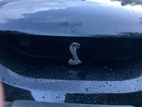 1998 Ford Mustang SVT Cobra