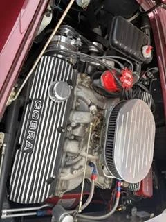2003 Shelby Cobra Replica - Image 17 of 21
