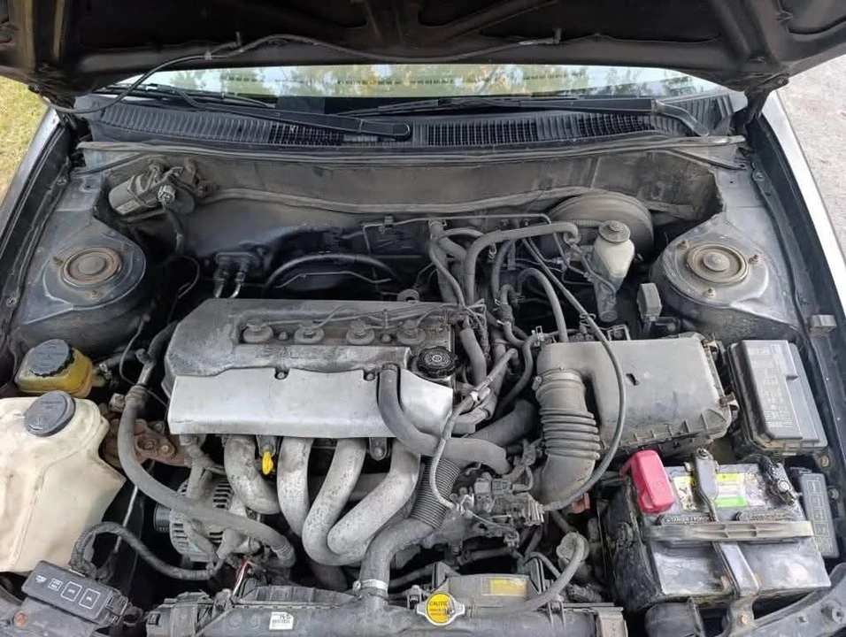 1998 Toyota Corolla 8th Gen - Image 10 of 10